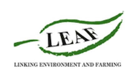 https://leaf.eco/