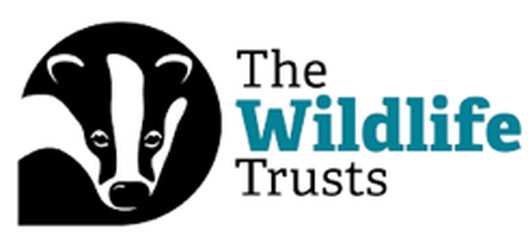 https://www.wildlifetrusts.org/